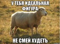 У тебя идеальная фигура Не смей худеть