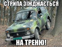 Стрипа зїжджається на треню!