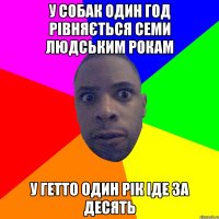 у собак один год рівняється семи людським рокам у гетто один рік іде за десять