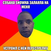 Собака snowка залаяла на меня устроил с ней перестрелку