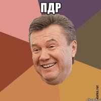 пдр 