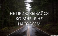 не привязывайся ко мне, я не насовсем