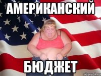 американский бюджет