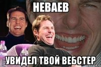 неваев увидел твой вебстер