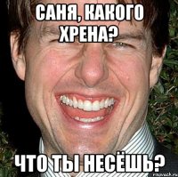 Саня, какого хрена? Что ты несёшь?