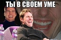 ты в своем уме 