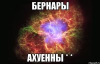 БЕРНАРЫ АХУЕННЫ * *