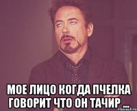  Мое лицо когда пчелка говорит что он тачир ...