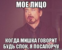 МОЕ ЛИЦО КОГДА МИШКА ГОВОРИТ БУДЬ СПОК, Я ПОСАПОРЧУ