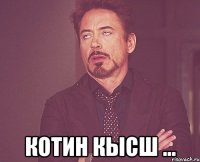  Котин кысш ...