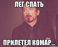 Лег спать Прилетел комар...