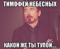 Тимофей Небесных Какой же ты тупой....