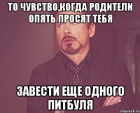 ТО чувство,когда родители опять просят тебя завести еще одного питбуля