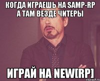 Когда играешь на Samp-RP а там везде читеры Играй на New[RP]