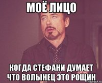 МОЁ ЛИЦО КОГДА СТЕФАНИ ДУМАЕТ ЧТО ВОЛЫНЕЦ ЭТО РОЩИН