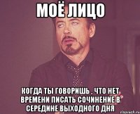 Моё лицо Когда ты говоришь , что нет времени писать сочинение в середине выходного дня