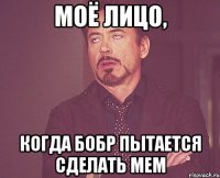 моё лицо, когда бобр пытается сделать мем