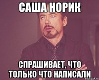 Саша Норик спрашивает, что только что написали