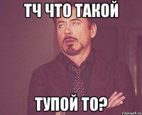 тч что такой тупой то?