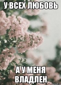у всех любовь а у меня Владлен