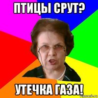 птицы срут? утечка газа!