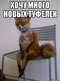 Хочу много новых туфелек 