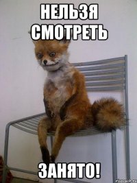 нельзя смотреть ЗАНЯТО!