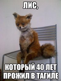 лис, который 40 лет прожил в тагиле