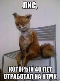 лис, который 40 лет отработал на нтмк