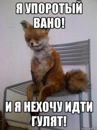 Я упоротый ВАНО! И я нехочу идти гулят!