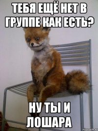 тебя ещё нет в группе как есть? ну ты и лошара