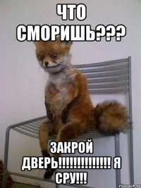 Что сморишь??? Закрой дверь!!!!!!!!!!!!!! Я сру!!!