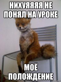 Нихуяяяя не понял на уроке Моё полождение