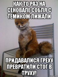 Как то раз на сеновале Собля с Темиком лижали Придавалися греху превратили стог в труху!