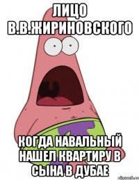 Лицо В.В.Жириновского когда Навальный нашел квартиру в сына в Дубае