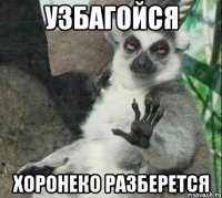 Узбагойся Хоронеко разберется