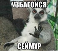 Узбагойся Сеймур