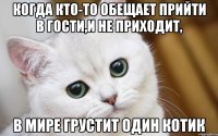 Когда кто-то обещает прийти в гости,и не приходит, в мире грустит один котик