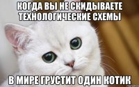 КОГДА ВЫ НЕ СКИДЫВАЕТЕ ТЕХНОЛОГИЧЕСКИЕ СХЕМЫ В МИРЕ ГРУСТИТ ОДИН КОТИК