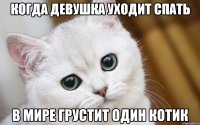 когда девушка уходит спать В МИРЕ ГРУСТИТ ОДИН КОТИК