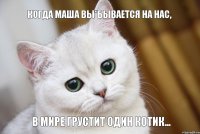 В мире грустит один котик... Когда Маша вы*бывается на нас,