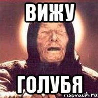Вижу голубя
