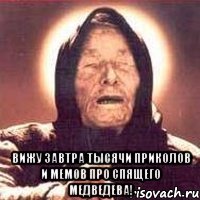  Вижу завтра тысячи приколов и мемов про спящего Медведева!