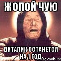 Жопой чую виталик останется на 1 год