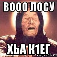 Вооо Лосу хьа к1ег