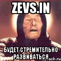 zevs.in будет стремительно развиваться