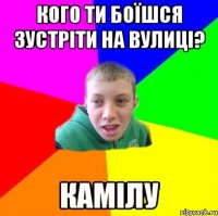 Кого ти боїшся зустріти на вулиці? Камілу