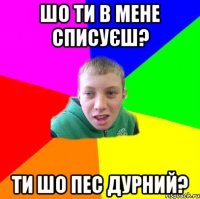 Шо ти в мене списуєш? Ти шо пес дурний?