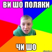 ви шо поляки чи шо