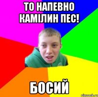 То напевно камілин пес! босий